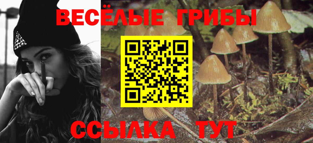 Псилоцибиновые грибы Psilocybe  даркнет сайт  Междуреченск  Вход с VPN 
